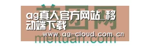 美团网