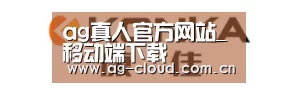 康佳