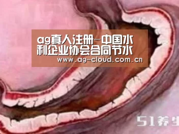 ag真人注册-中国水利企业协会合同节水管理专业委员会成立(图2) ag真人厅下载