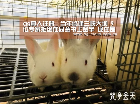 ag真人注册_
当年修建三峡大坝 9位专家拒绝在同意书上签字 现在是否忏悔?(图1) ag真人下载
