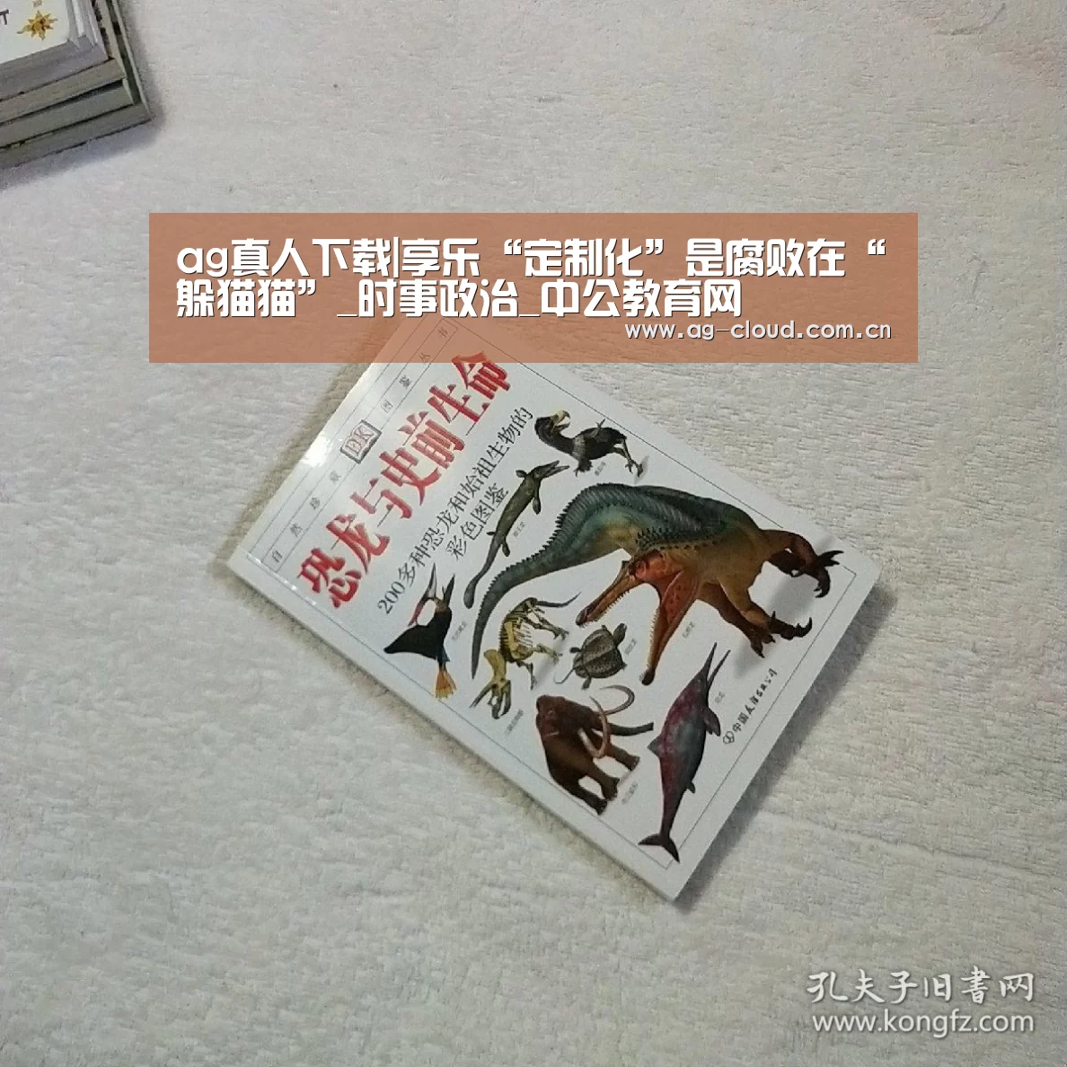 ag真人厅下载
